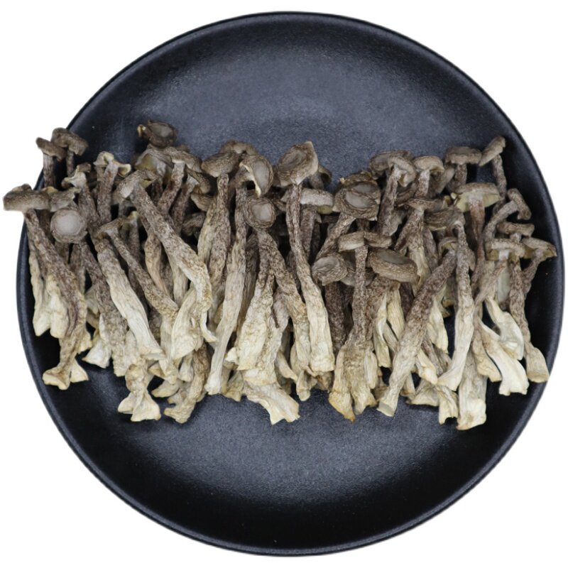 口感脆嫩鹿茸菇干货条形好、不碎