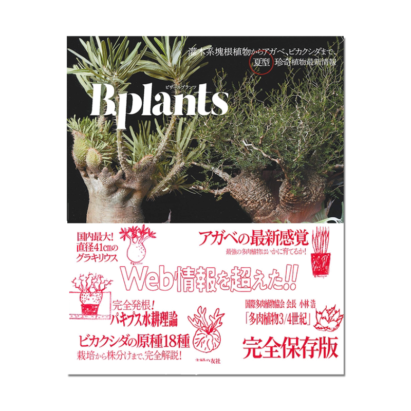 BPLANTS植物 灌木块茎跟植物龙舌兰 bikancida 夏型珍奇植物书 ビザールプランツ 灌木系塊根植物からアガベ、