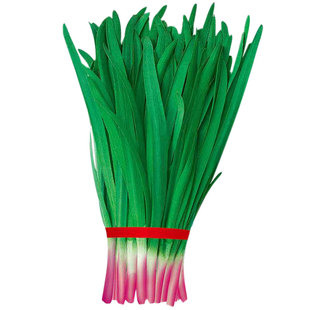 紫根韭菜种子四季种籽子根红根宽叶根苗蔬菜苗籽种孑大叶新籽大全