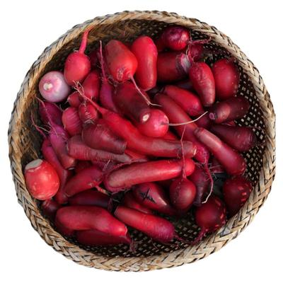 正宗涪陵特产新鲜胭脂萝卜泡菜原材料农家自种透心红泡菜母水3斤