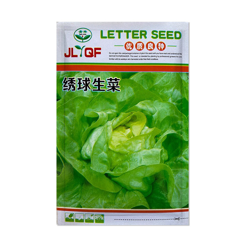 青丰绣球生菜种子结球包心菜