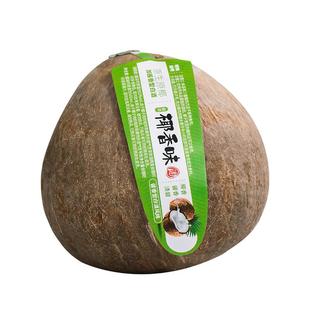 任意门海南酱香型椰子酒53度果酒送礼醇甜椰香白酒礼盒装酒厂直销