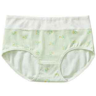 少女内裤高初中学生高腰纯棉12岁胖女孩短裤青春期大码发育三角裤