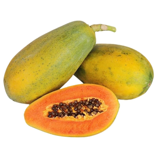 木瓜苗树南方矮化高产雷州冰糖红心大苗南方种植盆栽地栽当年结果