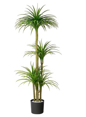 仿真绿植龙血树落地摆件