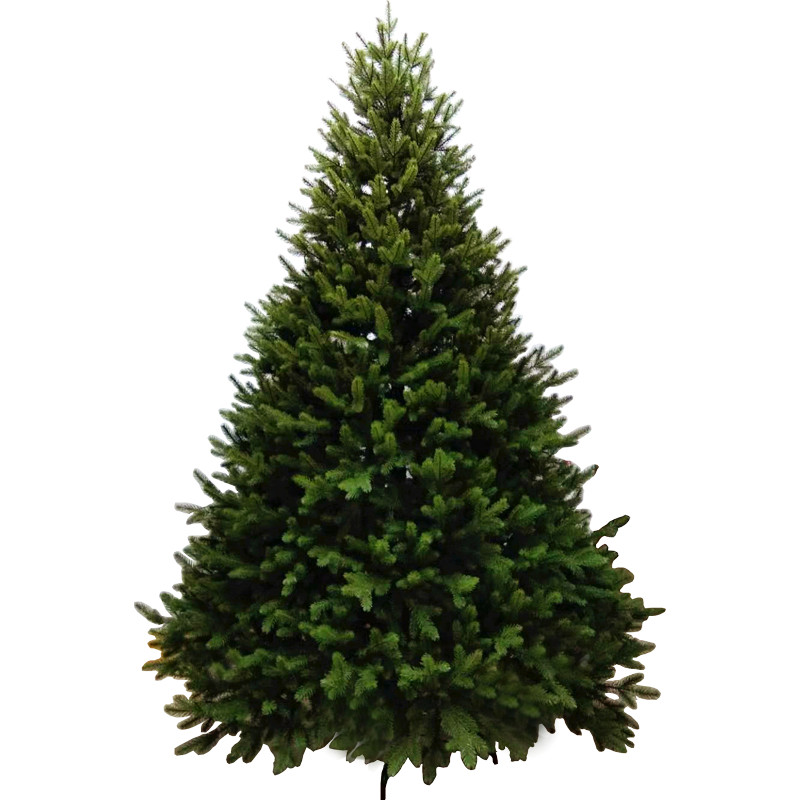 圣诞树pe仿真阻燃款豪华加密家用装饰品圣诞节摆件christmas tree