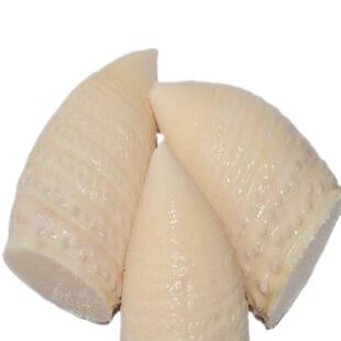 江西笋袋装竹笋新鲜春笋水煮笋袋装清水笋尖罗汉笋雷笋新鲜冬笋