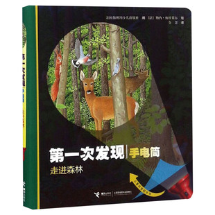 第一次发现丛书手电筒系列 走进森林 精装 法国儿童科普神奇透明胶片书 3至12岁儿童科普百科绘本书籍幼儿启蒙绘本书籍 正版推荐