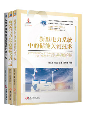 官网套装 新型电力系统中的储能关键技术+新型电力系统储能调频关键技术+面向新型电力系统的储能与电力市场（共3册）