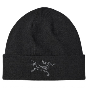ARC'TERYX始祖鸟 EMBROIDERED BIRD TOQUE 男女同款 绒线帽