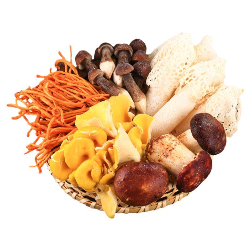 【现货】鲜菌菇现摘松茸菌竹荪牛肝菌金耳灰树花枞树菌羊肚菌蘑菇
