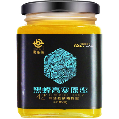 央视报道新疆天山黑蜂成熟蜂蜜