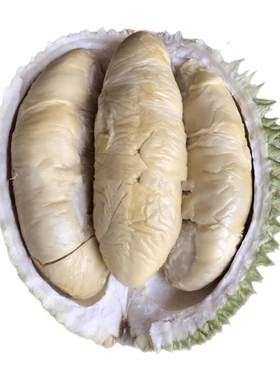 北马榴【树熟液氮】稀小品种金凤D198榴莲有巧克力味和淡淡花香味