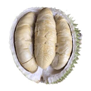 北马榴【树熟液氮】稀小品种金凤D198榴莲有巧克力味和淡淡花香味