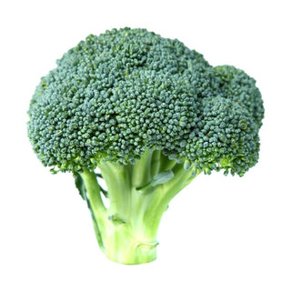 西兰花种籽蔬菜种籽西兰花种子菜花西南花菜蔬菜孑花苗西蓝花秧苗