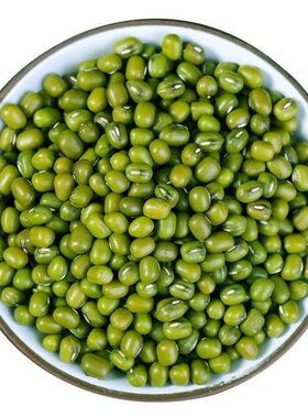 新货批发新鲜农家小绿豆豆芽熬绿豆汤做绿豆糕原料莲子袋装绿小豆