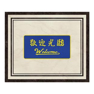 入户门室内门口可擦洗地垫pvc皮革免洗耐脏门内进门定制脚垫门垫