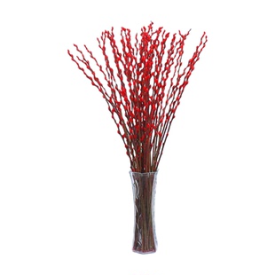 银柳专用花瓶摆件客厅插花玻璃桌面水培花卉绿植物富贵竹干花雪柳