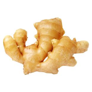 农家自种老姜生姜批发100g/1/2/3/5斤生长新鲜黄姜土姜现挖嫩姜