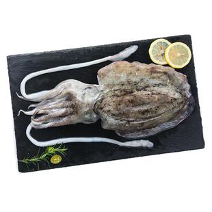 舟山本地东海水产新鲜大墨鱼鲜活冷冻乌贼墨斗鱼花枝目鱼 2斤装