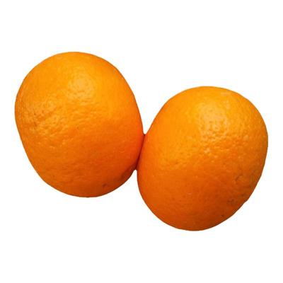 12年老店现摘广西武鸣沃柑优大果