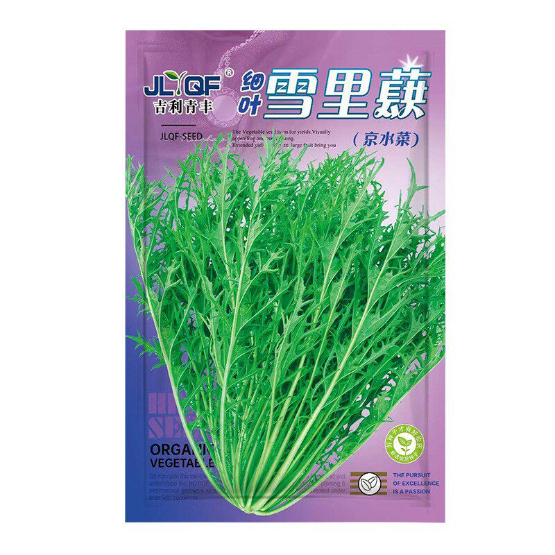 细叶雪里蕻种子雪菜雪里红