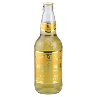 青岛特产崂特啤酒纯酿金啤酒500ml*12瓶/箱自提特惠【青岛发货】