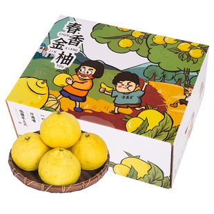 春香金柚新鲜水果象山青柑橘小柚子春香柚当季黄金贡柚甜橘柚10斤