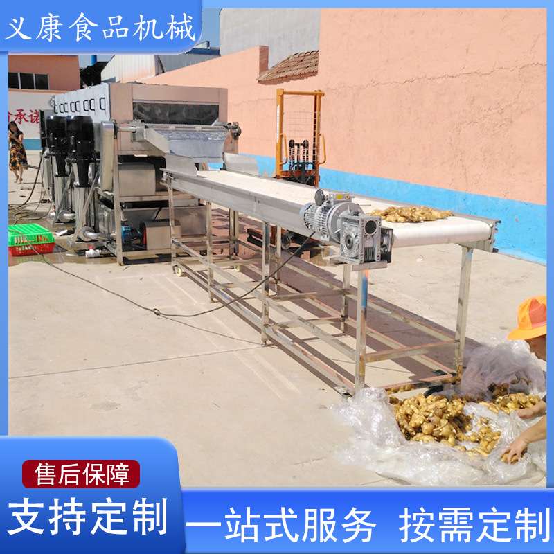 豆角鲜辣椒果蔬清洗机 工业食品厂喷淋式清洗机设备 鲍鱼清洗机