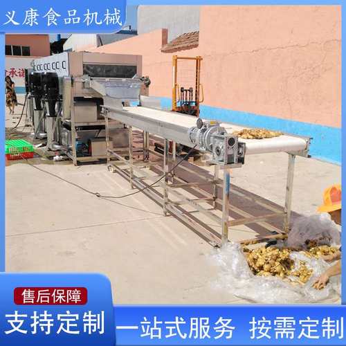 豆角鲜辣椒果蔬清洗机 工业食品厂喷淋式清洗机设备 鲍鱼清洗机