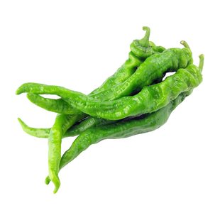 正宗螺丝椒种子辣椒种籽孑尖椒蔬菜苗带土秧苗四季特大高产菜苗