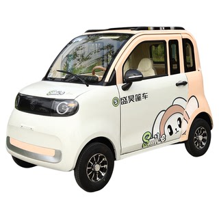 盛昊GL9电动四轮车新能源全封闭家用代步女士两门小型四轮电动车