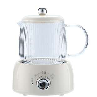 养生壶办公室小型迷你电炖杯女士一人养生杯家用多功能保温煮茶壶