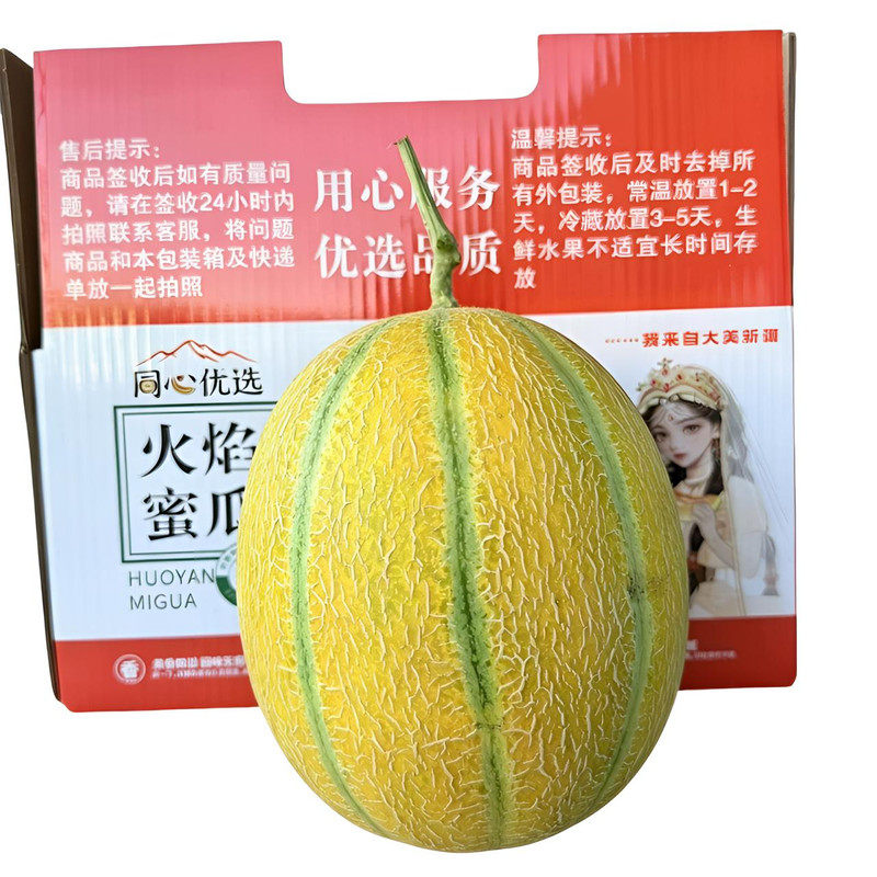 新疆吐鲁番金纹老汉瓜