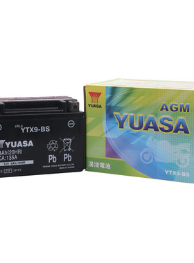 YUASA/汤浅电瓶铃木250/300