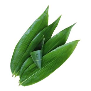 粽叶粽子叶免邮新鲜干粽叶大号包粽子叶子粽粑叶棕叶非芦苇叶野生