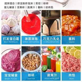 Dynamic法国均质机烘焙商用电动手持料理棒淋面乳化消泡辅食搅拌