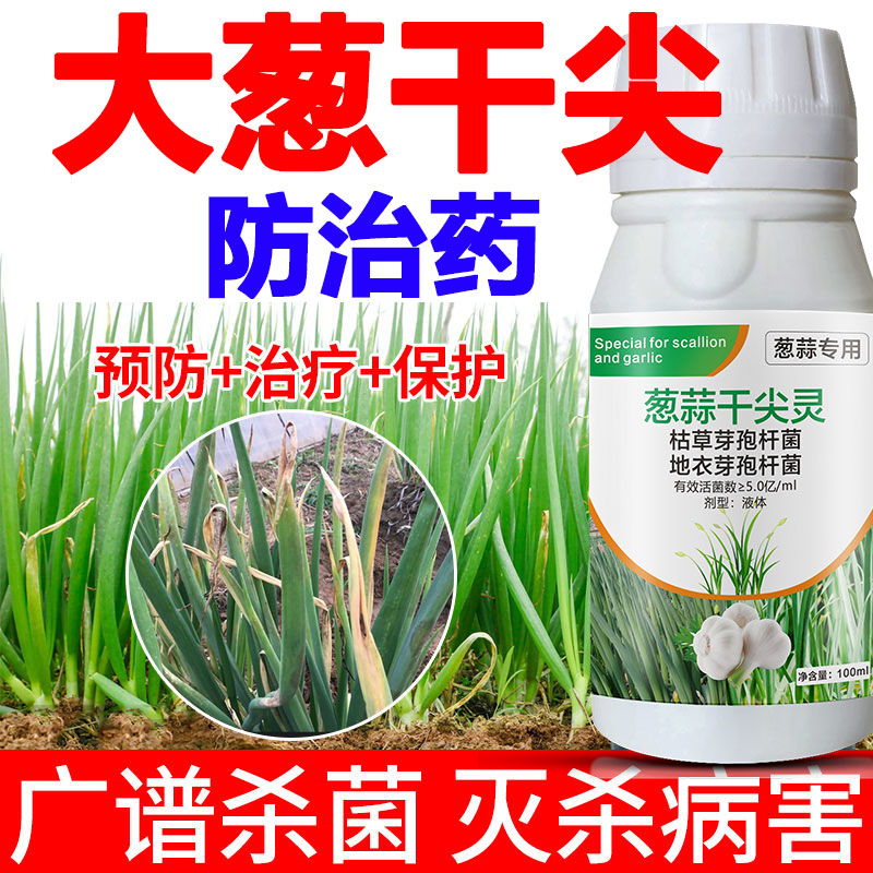 大葱锈病专用药香葱小葱黄叶韭葱姜蒜干尖灵菌净韭菜微生物菌剂