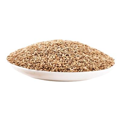 进口加纳利子鹦鹉鸟食白尖