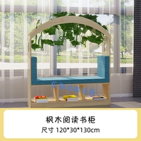 Чтение, книжный шкаф