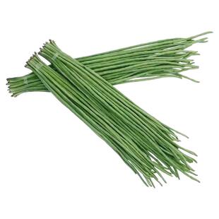 正品小五叶干枝梅长豆角种子高产特长耐旱早熟四季种植小叶豆角种