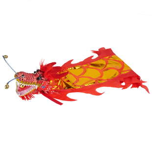 龙头舞龙彩带广场舞健身甩中国龙新款整套儿童杆甩彩绸玩表演道具