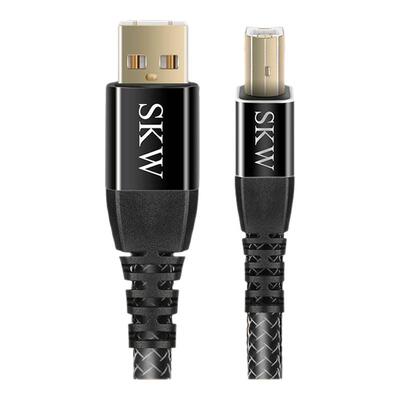 sk高端发烧镀银USBA-B解码线