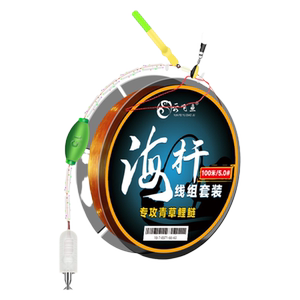 海竿线组套装矶钓路滑钓组带漂全套远投专用浮钓鲢鳙大物主线成品