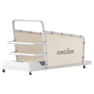 狗狗跑步机小型犬小型犬