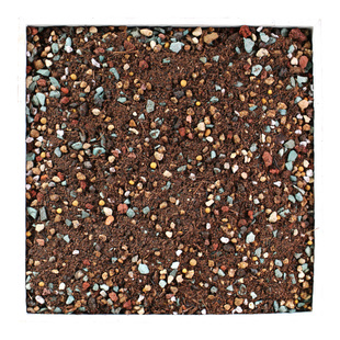 思威博多肉土专用颗粒土麦饭石泥炭种植土营养土植物进口铺面石