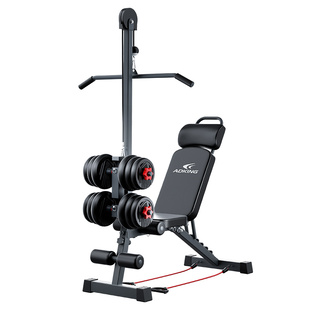 哑铃凳仰卧起坐辅助器家用健身器材多功能飞鸟商用男士杠铃卧推椅