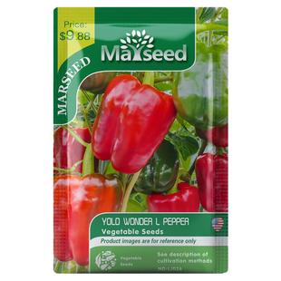 【MARSEED火星家】传家宝GOLDEN CAL WONDER金色加州奇迹甜椒种子
