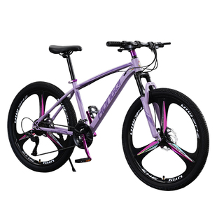 新品红旗官方旗舰店山地车自行车成人青少年男女学生越野变速单车