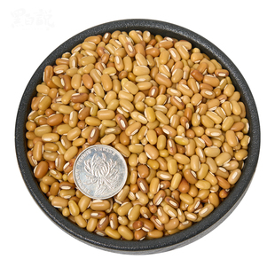 巴山豆竹豆干货云南农家新货眉豆饭豆米豆江豆小竹豆五谷杂粮豆子